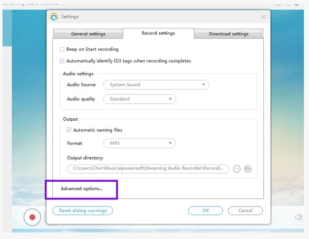 Apowersoft Streaming Audio Recorder Record Settings