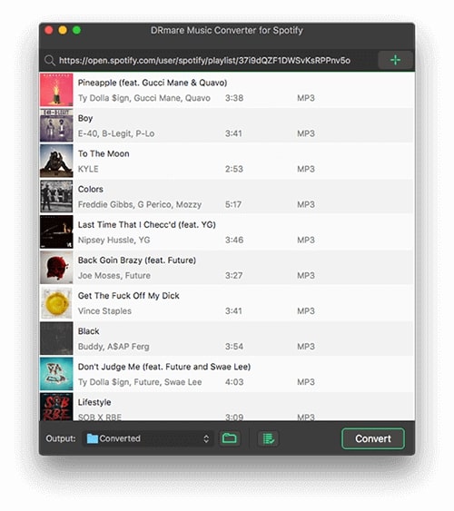 DRmare Spotify Music Converter